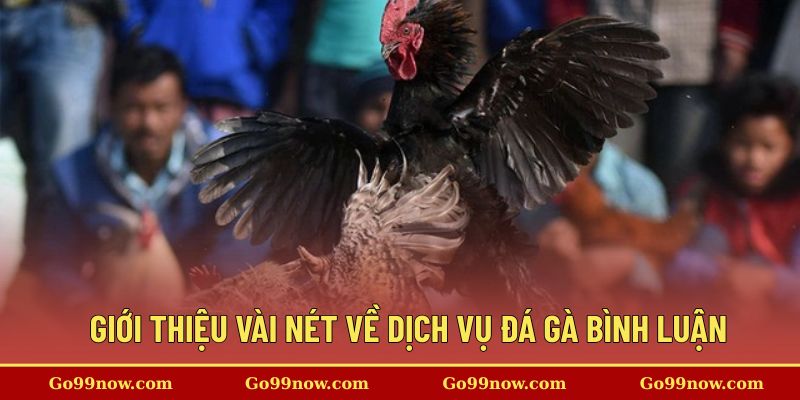 Giới thiệu vài nét về dịch vụ đá gà bình luận&nbsp;