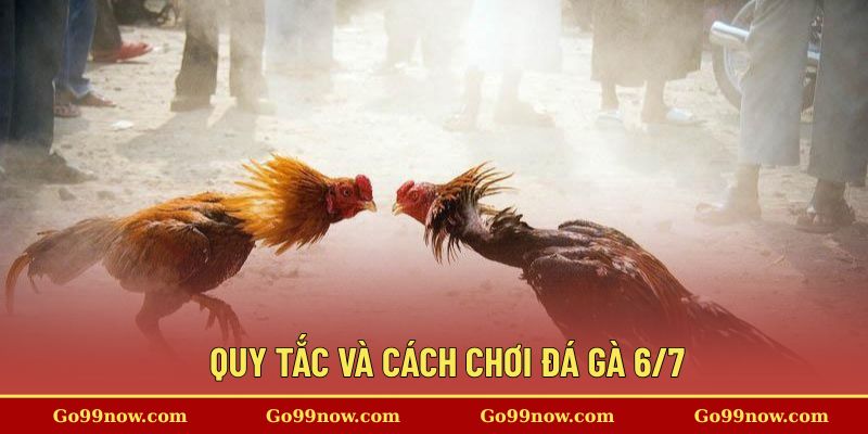 Quy tắc và cách chơi đá gà chi tiết tại nền tảng&nbsp;