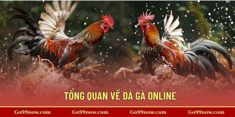 Tổng quan về đá gà online&nbsp;