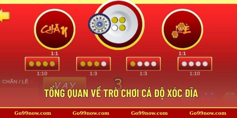 Tổng quan về trò chơi cá độ xóc đĩa &nbsp;